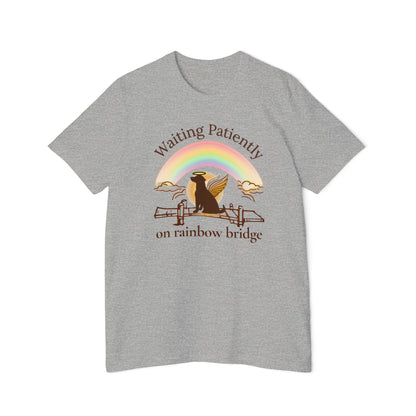 Rainbow Bridge Pet Memorial T-Shirt